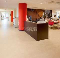 Forbo Marmoleum Decibel on Order 312035 rosato фото 2 | FLOORDEALER